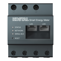 Preview: Kostal KSEM