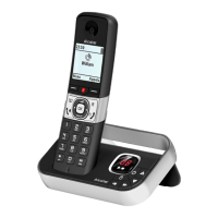 Preview: Alcatel F890 Voice