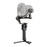 Preview: dji RS 2