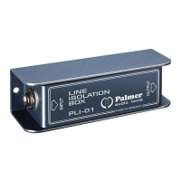 Preview: Palmer PLI01