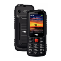 Preview: SKY DEVICES Tank