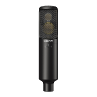 Preview: Sony C-100