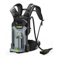 Preview: EGO BHX1001
