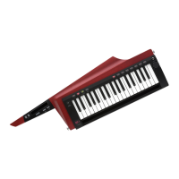 Preview: Korg RK-100S 2