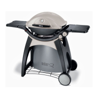 Preview: Weber Q