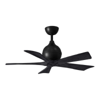 Preview: Atlas fan company Irene