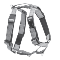 Preview: Radio Systems PetSafe 3 in 1