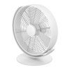 Fan Logo