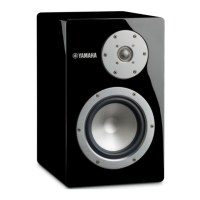 Preview: Yamaha NS-3000