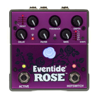 Preview: Eventide Rose