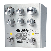 Preview: Meris HEDRA