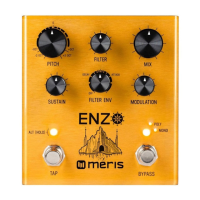 Preview: Meris ENZO