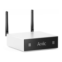 Preview: Arylic A50
