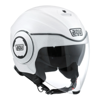 Preview: AGV FLUID