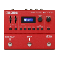 Preview: Boss RC-500