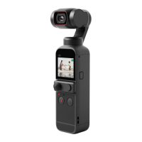 Preview: dji POCKET 2