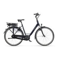 Preview: Batavus E-go