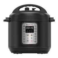 Preview: Instant Pot DUO VIVA
