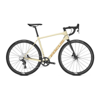 Preview: Focus Paralane
