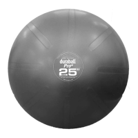Preview: FitterFirst DURABALL PRO