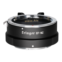 Preview: Fringer EF-NZ