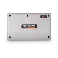 Preview: Generac Power Systems SMM