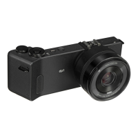 Preview: Sigma dp1 Quattro