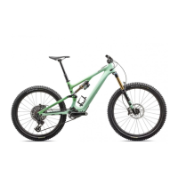 Preview: Specialized Levo