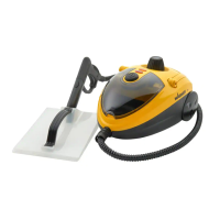 Preview: WAGNER POWER STEAMER 915e