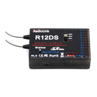 Preview: RadioLink R12DS
