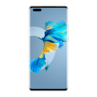 Preview: Huawei Mate40 Pro