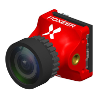 Preview: FOXEER PREDATOR NANO