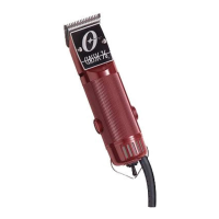 Preview: Oster Octane