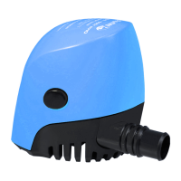 Preview: Whale Orca