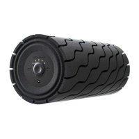 Preview: THERAGUN Wave Roller