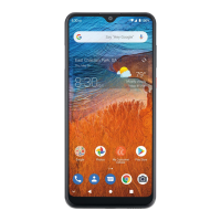 Preview: Consumer Cellular ZMAX 10