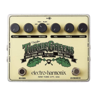 Preview: Electro-Harmonix TURNIP GREENS