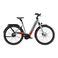 Preview: Cannondale Mavaro Neo