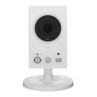 Preview: D-Link DCS-2132L