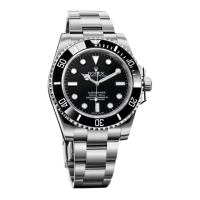 Preview: Oyster Perpetual Submariner