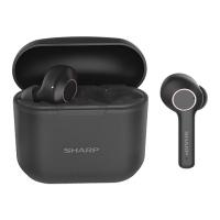 Preview: Sharp HP-TW30