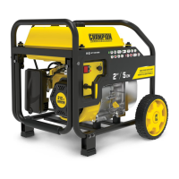 Preview: Champion Power Equipment 100742