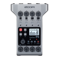 Preview: Zoom PodTrak P4