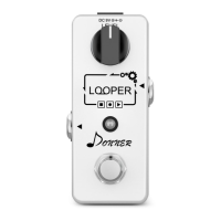 Preview: Donner Looper