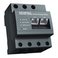 Preview: Kostal Smart Energy Meter