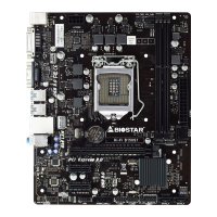 Preview: Biostar B250MHC