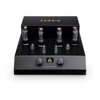 Preview: Audio Note COBRA