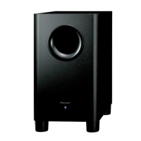 Preview: Pioneer S-21W