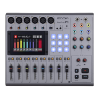 Preview: Zoom PodTrak P8