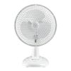 Fan Logo